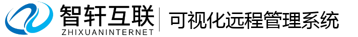 可视化远程系统